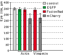 Fusion description