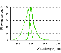 TurboGFP spectra